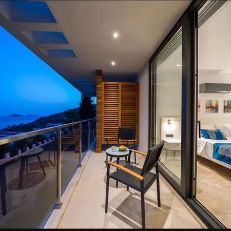 Luxury With Private Swimming Pool Appartement